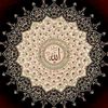 ayesha_jee_11