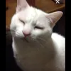 maru6262