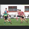 ioanthomas8