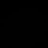 rajroro09