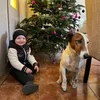 zsofiatorok