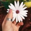 بسمةامل257