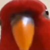 nuh_uh200041