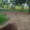 hanmbing