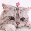 url0vee14