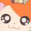 manmaru__hi