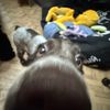 bleeeeatb