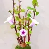 minhloiduy0