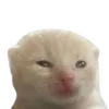 leansipper69
