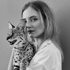 dasha_serval_leo