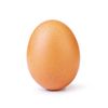 all_hail_egg