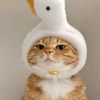 kumisnah_