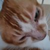 Jimothy_from_Kembangan