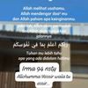 www.irmaaaaa