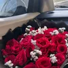 _zaraa.01