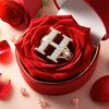 hatice2882