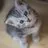 nyaso0224