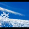 minh_hieu21092