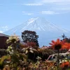 kosuke_nehadd