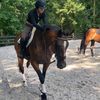 autumn.fitz.eq