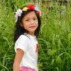 dennea.caia