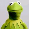 trashyfroggy