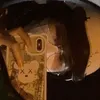 concaonoigi