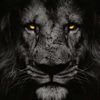 shosho_7795
