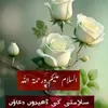 waqasali8931