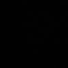 torr264