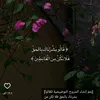baharosman2000