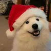ndienff