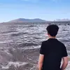 id_dong_nguyen