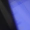 slsaaurlia_