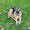 gsd_mama_kenna