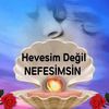 nefesim2733