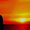 sunbright303