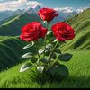 user07506151