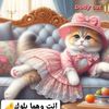 أحمدأمين17