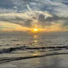 .inaaya_xc