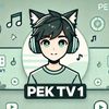 pektv1