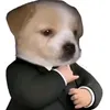 hotquetkho