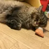 ookuma0508