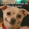 toktokhanenohhowpretty