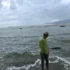 hoacong481