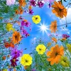 _l.tzhoa.28_