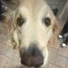 jackie_0654