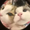 mine.world.kys