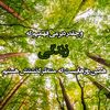 faro.ali23