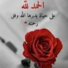 farajamina